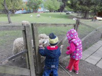 /album/vsudybylek-blansko/dscn3845-jpg/